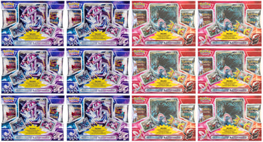 HeartGold & SoulSilver - Clash of Legends Display